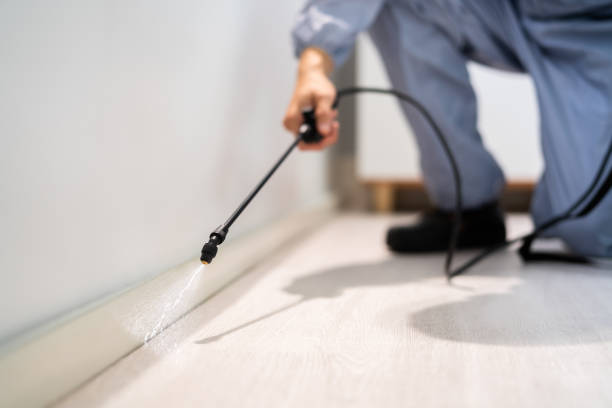 Licensed Pest Control service in Washington, KS - Show Me Pest Control