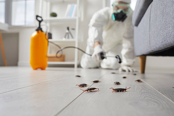 Commercial Rodent Management in Washington